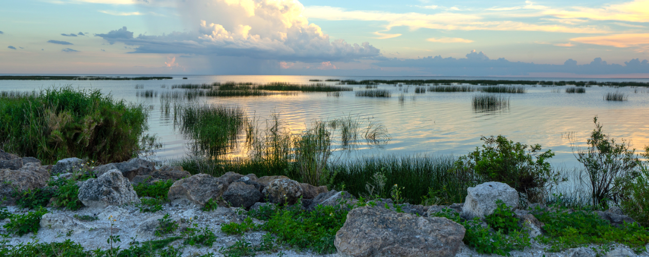 Lake Okeechobee